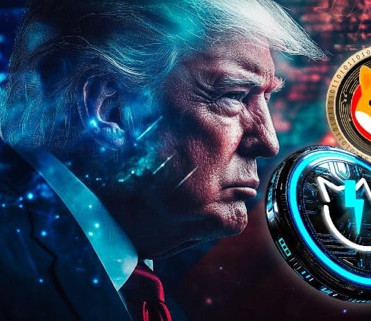 Shiba Inu Value Prediction: Can SHIB Pump 10x Underneath Trump As New Crypto JetBolt Surges
