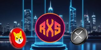 This Coin May Be the Ticket to Retire Tremendous Wealthy in 2025, Beating Shiba Inu (SHIB) and Ripple (XRP)