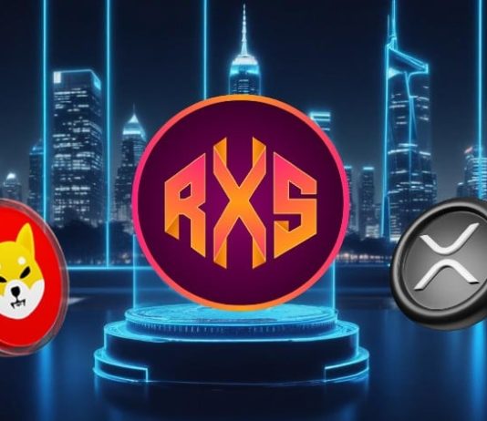 This Coin May Be the Ticket to Retire Tremendous Wealthy in 2025, Beating Shiba Inu (SHIB) and Ripple (XRP)