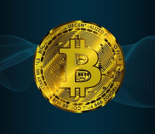 Prime 5 Cryptos to Spend money on as Whales Accumulate Bitcoin After Trump Inauguration
