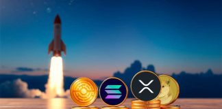 Prime Four Cash That Might Skyrocket in February 2025: SOL, DOGE, and MTAUR