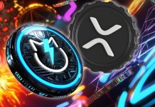 XRP Information Now: Will XRP’s Development Decide Up As JetBolt Achieves New Heights