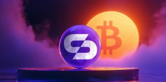 Missed Bitcoin? Skyren DAO Presents As soon as-in-a-Lifetime Wealth Alternative
