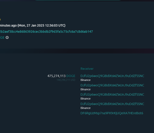 $54 Million In Dogecoin Exits Binance As Value Crashes 9%: Signal Of Shopping for?