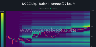 Dogecoin Rally To $0.35 Might Set off Huge Brief Squeeze