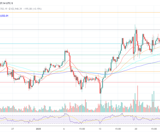 DeepSeek Predicts Bitcoin Bull Run Peak At $500,000 – Right here’s When