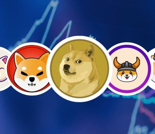 Memecoins To Mature By 2030? CEO Sees Stability On The Approach Memecoins To Mature By 2030? CEO Sees Stability On The Approach