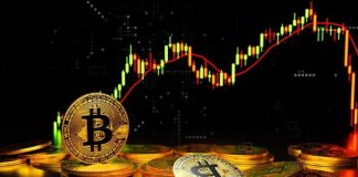 Prime New Cryptocurrencies to Purchase – 5 Rising Cash That May Pump in 2025