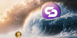 Trump Coin Made Waves, However Skyren Might Make Tsunamis within the Crypto World
