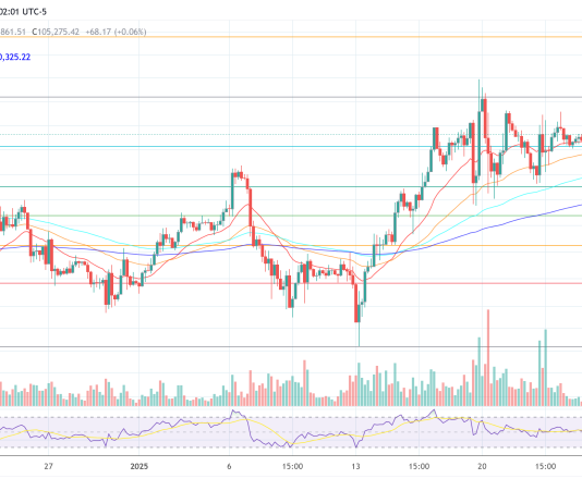 No Extra Bitcoin Bear Markets Ever? Fund CIO Explores New Market Actuality