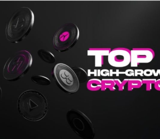 5 Finest Crypto Investments in Jan 2025: The Way forward for Crypto Blockchain