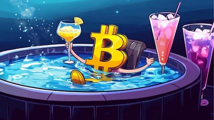 Subsequent Crypto To Explode 1000x As Bitcoin’s Dominance Prepares To Ease