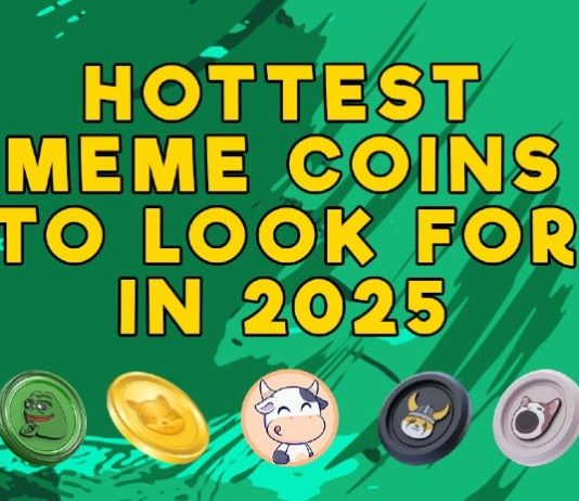 Diving Deep Into the 6 Finest New Meme Cash to Purchase for 2025: Be part of the Bulls Squad as It Turns FOMO Into YOLO