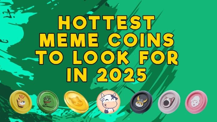 Diving Deep Into the 6 Finest New Meme Cash to Purchase for 2025: Be part of the Bulls Squad as It Turns FOMO Into YOLO
