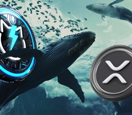 XRP Information Right this moment: On-Chain Exercise Billows As Crypto Whales Rush To JetBolt Presale