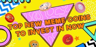 2025’s Hottest Picks: The three Greatest New Meme Cash to Take part February Earlier than the Subsequent Bull Run Takes Off