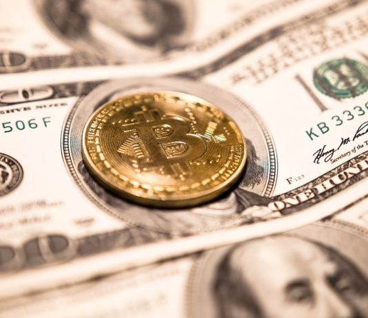 5 New Presales Set to Explode in February as Michael Saylor Breaks Forbes in Two
