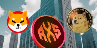 Keep in mind the Massive Dogecoin (DOGE) and Shiba Inu (SHIB) Rallies? These 5 Cash may Observe The Similar Path