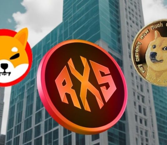 Keep in mind the Massive Dogecoin (DOGE) and Shiba Inu (SHIB) Rallies? These 5 Cash may Observe The Similar Path