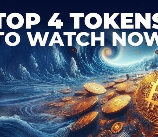 Finest-Performing Crypto Belongings to Purchase in Feb 2025: Why These Four Initiatives Are Dominating the Market Proper Now Finest-Performing Crypto Belongings to Purchase in Feb 2025: Why These Four Initiatives Are Dominating the Market Proper Now