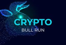 How a Small Crypto Funding May Result in Huge Positive aspects within the Subsequent Crypto Bull Run