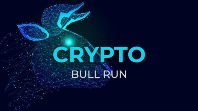 How a Small Crypto Funding May Result in Huge Positive aspects within the Subsequent Crypto Bull Run