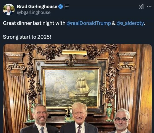 Ripple, Galaxy Execs Fronted $160M to MoonPay Amidst Trump Memecoin Frenzy