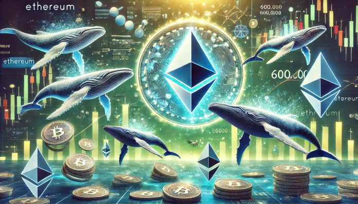 Ethereum Whales Have Purchased Over 600,000 ETH In The Previous Week – Time For A Value Upswing?