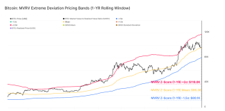 Bitcoin Might Finish Up Plummeting To $80,100 If This Assist Fails