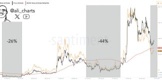 Dogecoin Crash Sign Flashes: Analyst Warns Of A Potential 40% Drop