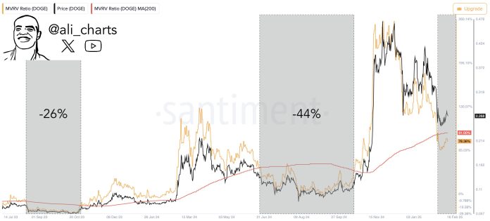 Dogecoin Crash Sign Flashes: Analyst Warns Of A Potential 40% Drop
