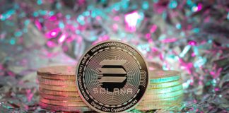 Solana Bearish Development Deepens: Is $164 Help the Subsequent Cease For SOL?