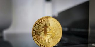 This Analyst Referred to as The Bitcoin Value Crash Early, Whole Prediction Says Extra Ache Is Coming