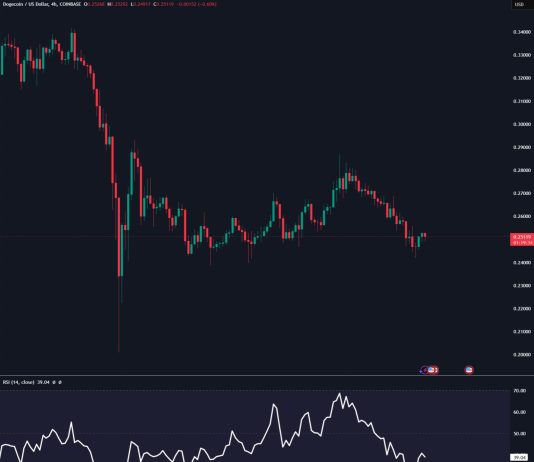 Dogecoin Flashes Oversold Sign—Rebound Forward?