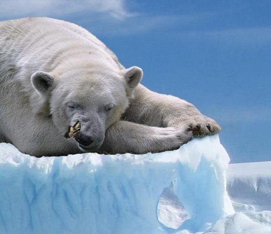 Bitcoin Bearish Case Emerges – Is A Dump To $73,000 Coming?
