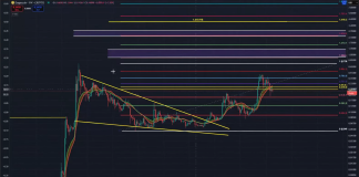 Dogecoin Warning: One Stage Might Set off A Surge, Says Analyst