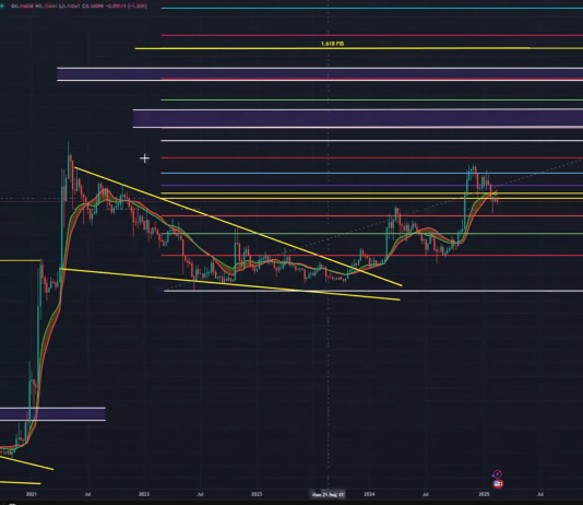 Dogecoin Warning: One Stage Might Set off A Surge, Says Analyst