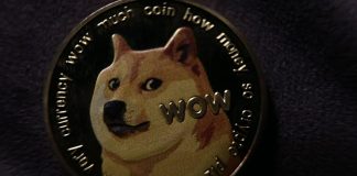 Dogecoin Exercise Ranges Crash To 4-Month Lows, Does This Spell Doom For The Meme Coin?