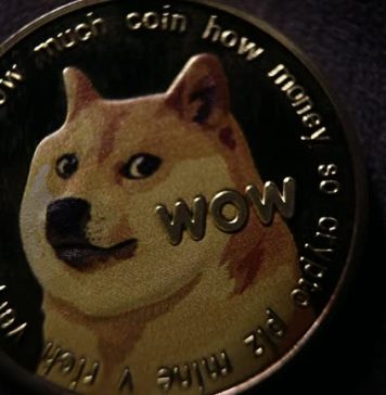 Dogecoin Exercise Ranges Crash To 4-Month Lows, Does This Spell Doom For The Meme Coin?