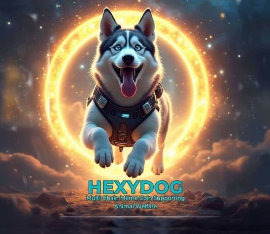 Hexydog (HEXY) Launches Presale, Combining Crypto Innovation with Animal Welfare
