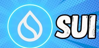 SUI Uptick Sparks Hope, However Is This Fleeting Restoration?