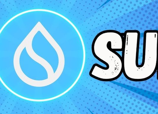 SUI Uptick Sparks Hope, However Is This Fleeting Restoration?