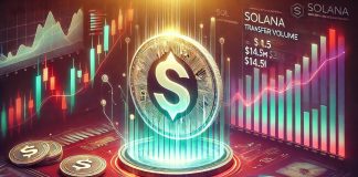 Solana Switch Quantity Crashes To $14.5M – What’s Subsequent for SOL?