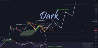 XRP Value Crash Virtually Over—Analyst Says $Eight Is Subsequent
