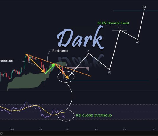 XRP Value Crash Virtually Over—Analyst Says $Eight Is Subsequent