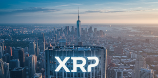XRP Outshines 92% Of Altcoins, Evaluation Reveals—Right here’s Why
