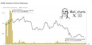 Dogecoin Sees 95% Drop In Community Exercise—Hassle Forward?