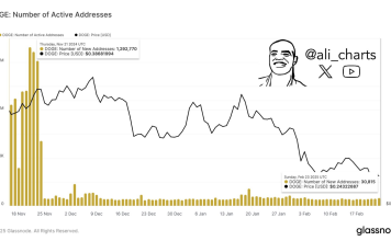 Dogecoin Sees 95% Drop In Community Exercise—Hassle Forward? Dogecoin Sees 95% Drop In Community Exercise—Hassle Forward?