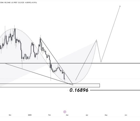 Dogecoin Cup And Deal with Taking Form – Massive Transfer Incoming?