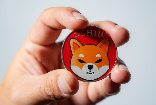 Shiba Inu Bears Roar: Will SHIB Hit $0.00001272 Amid Market Promote-Off?